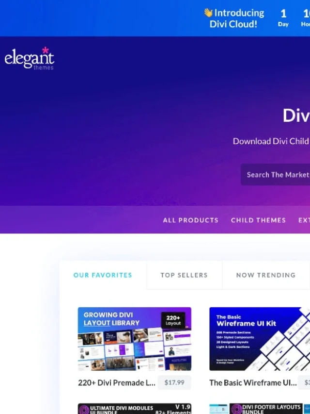 Top 10 Reasons to Choose Elegant Themes in 2025