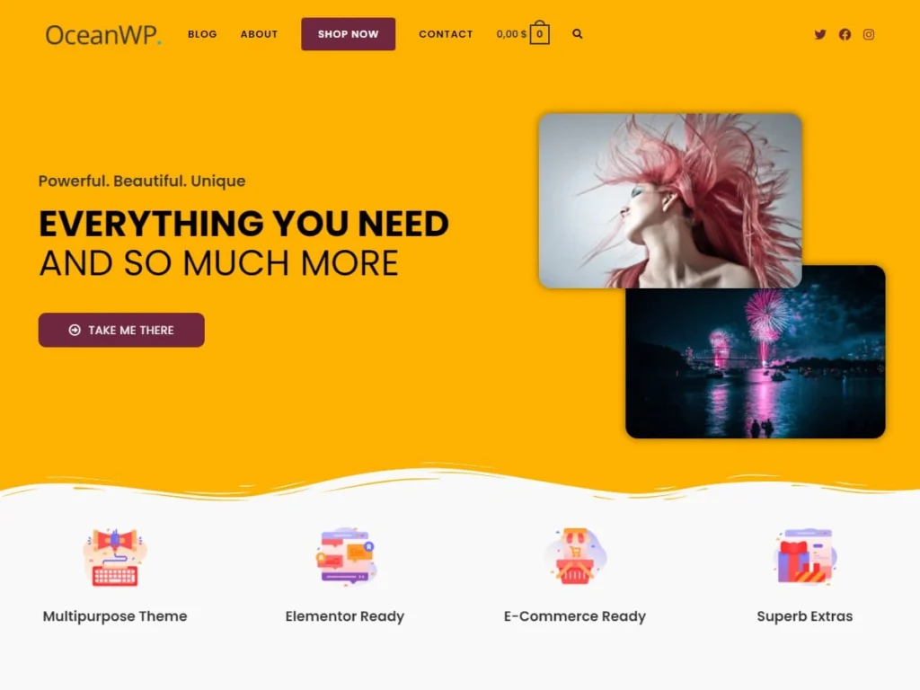 OceanWp Theme